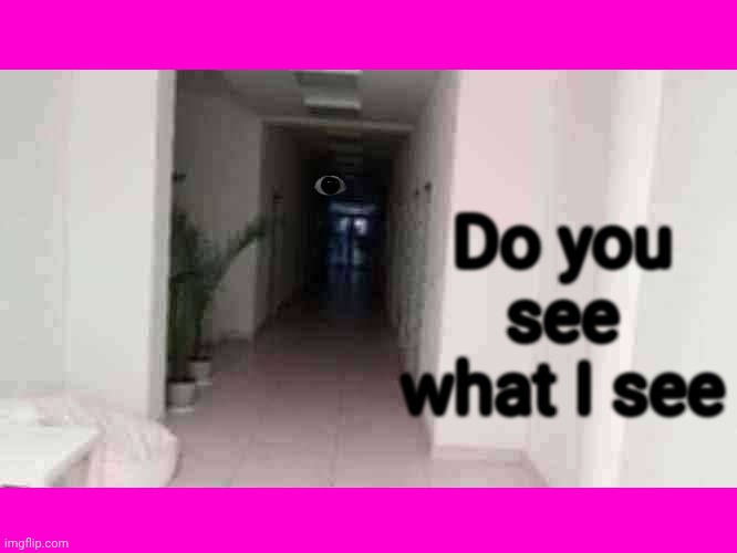 Do you see what I see | image tagged in weirdcore,liminal space | made w/ Imgflip meme maker