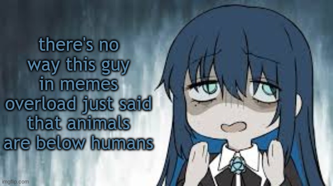 Ado | there's no way this guy in memes overload just said that animals are below humans | image tagged in ado | made w/ Imgflip meme maker