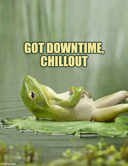 Got downtime, chill out | GOT DOWNTIME, CHILLOUT | image tagged in chillinfrog,downtime,chill,relax | made w/ Imgflip meme maker