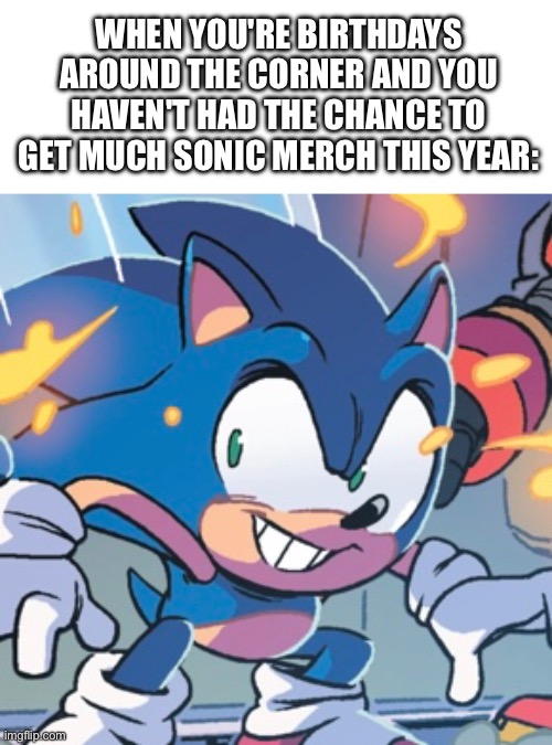 Woopdy do! My birthday is coming soon! | WHEN YOU'RE BIRTHDAYS AROUND THE CORNER AND YOU HAVEN'T HAD THE CHANCE TO GET MUCH SONIC MERCH THIS YEAR: | image tagged in memes,sonic the hedgehog | made w/ Imgflip meme maker
