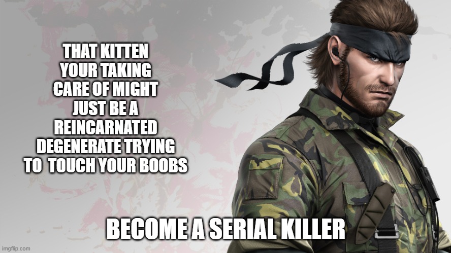 kitten | THAT KITTEN YOUR TAKING CARE OF MIGHT JUST BE A REINCARNATED DEGENERATE TRYING TO  TOUCH YOUR BOOBS; BECOME A SERIAL KILLER | image tagged in solid snake quote | made w/ Imgflip meme maker
