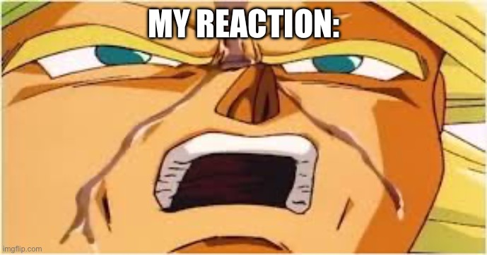 MY REACTION: | image tagged in broly confused | made w/ Imgflip meme maker
