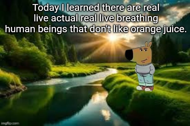 chill guy | Today I learned there are real live actual real live breathing human beings that don't like orange juice. | image tagged in chill guy | made w/ Imgflip meme maker