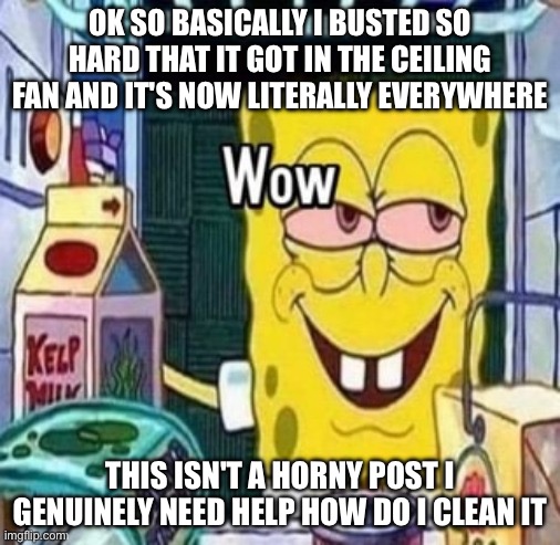 Wow bob | OK SO BASICALLY I BUSTED SO HARD THAT IT GOT IN THE CEILING FAN AND IT'S NOW LITERALLY EVERYWHERE; THIS ISN'T A HORNY POST I GENUINELY NEED HELP HOW DO I CLEAN IT | image tagged in wow bob | made w/ Imgflip meme maker