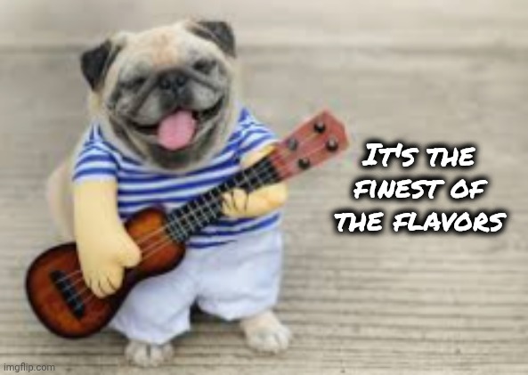 Doggo with Ukulele | It's the finest of the flavors | image tagged in doggo with ukulele | made w/ Imgflip meme maker