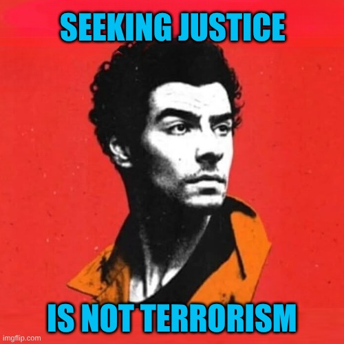 Luigi | SEEKING JUSTICE; IS NOT TERRORISM | image tagged in luigi,injustice,terrorism,worlds biggest traffic jam,insurance,criminals | made w/ Imgflip meme maker