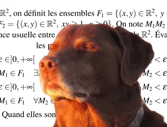 dog maths Blank Meme Template
