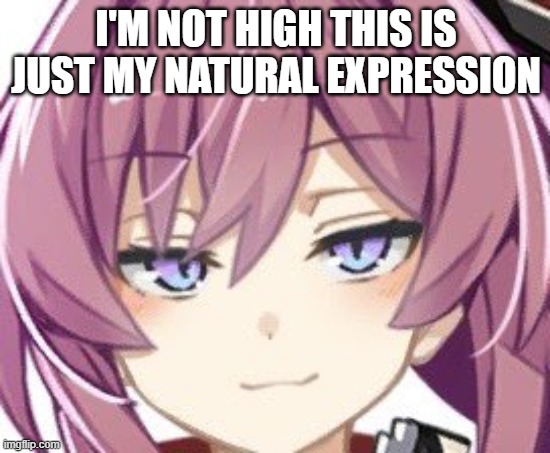 Sayaka Hiwatari meme i made lmao | I'M NOT HIGH THIS IS JUST MY NATURAL EXPRESSION | image tagged in stare | made w/ Imgflip meme maker