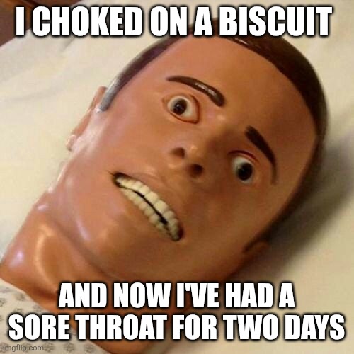 True story | I CHOKED ON A BISCUIT; AND NOW I'VE HAD A SORE THROAT FOR TWO DAYS | image tagged in the face of agony,pain,choke,memes | made w/ Imgflip meme maker