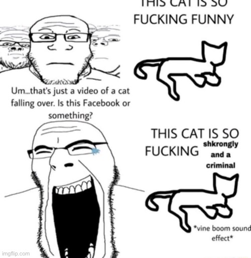 60% of this streams humor | made w/ Imgflip meme maker