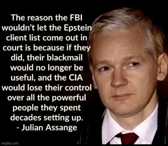 image tagged in fbi,epstein,pedophiles,democrats,quotes | made w/ Imgflip meme maker