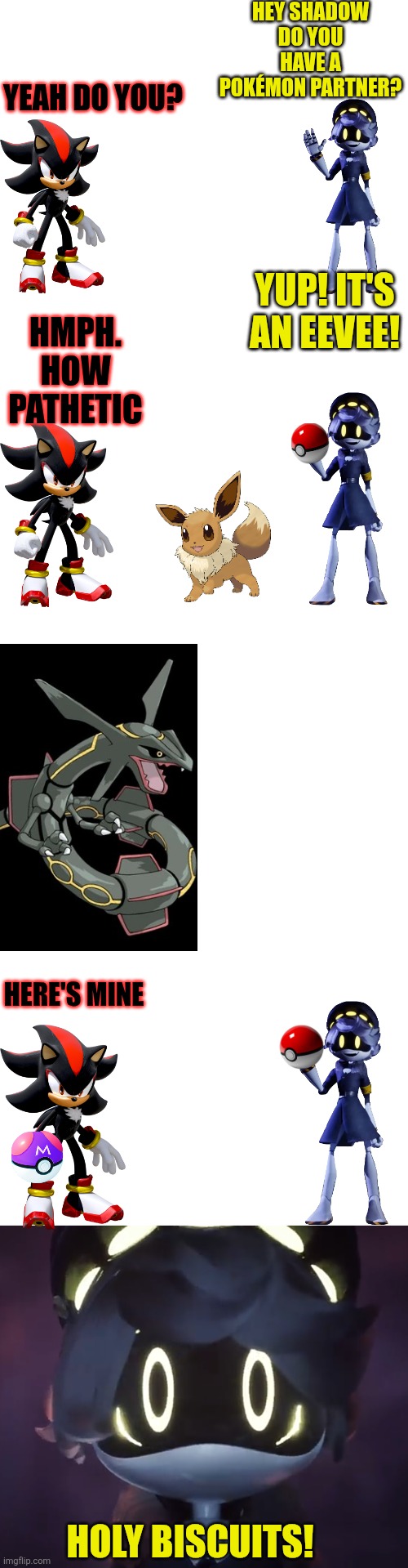 Shadow and N's pokemon partners part 1 | HEY SHADOW DO YOU HAVE A POKÉMON PARTNER? YEAH DO YOU? YUP! IT'S AN EEVEE! HMPH. HOW PATHETIC; HERE'S MINE; HOLY BISCUITS! | image tagged in shadow the hedgehog,pokemon | made w/ Imgflip meme maker