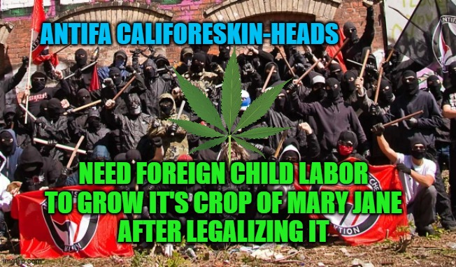 Antifa | ANTIFA CALIFORESKIN-HEADS NEED FOREIGN CHILD LABOR
TO GROW IT'S CROP OF MARY JANE
AFTER LEGALIZING IT | image tagged in antifa | made w/ Imgflip meme maker