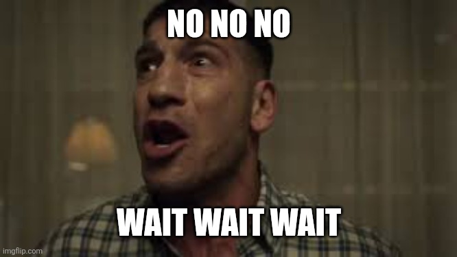 No no no wait wait wait | NO NO NO WAIT WAIT WAIT | image tagged in no no no wait wait wait | made w/ Imgflip meme maker