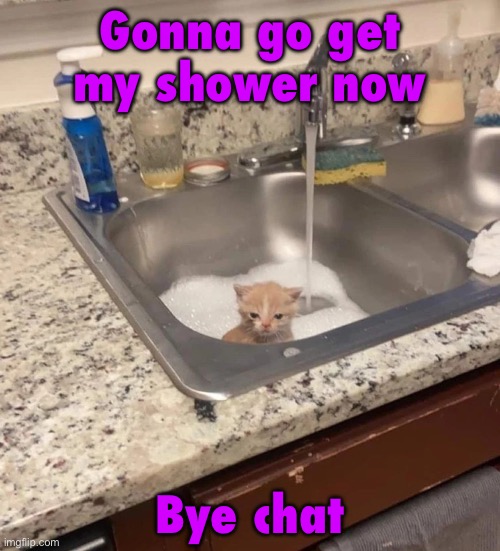 Baf | Gonna go get my shower now; Bye chat | image tagged in baf | made w/ Imgflip meme maker