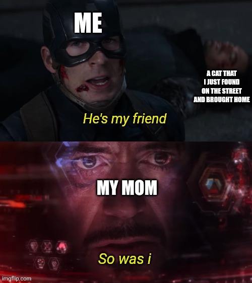 Short story | ME; A CAT THAT I JUST FOUND ON THE STREET AND BROUGHT HOME; MY MOM | image tagged in he' my friend - captain america civil war 2016 | made w/ Imgflip meme maker