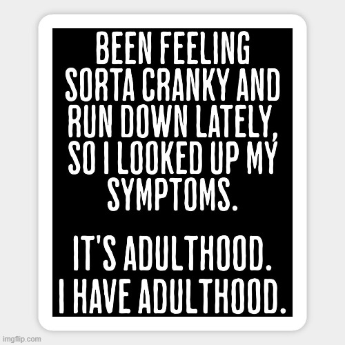 Adulting can be hard... | image tagged in adulthood,adulting,hard,real life,funny | made w/ Imgflip meme maker