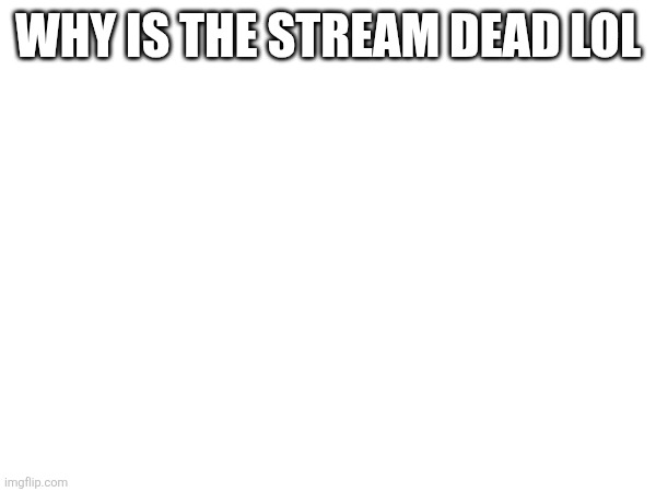 WHY IS THE STREAM DEAD LOL | made w/ Imgflip meme maker