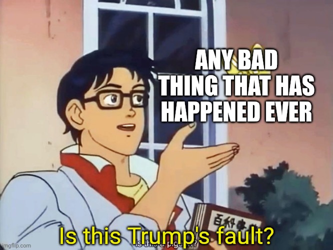 ANIME BUTTERFLY MEME | Is this Trump's fault? ANY BAD THING THAT HAS HAPPENED EVER | image tagged in anime butterfly meme | made w/ Imgflip meme maker