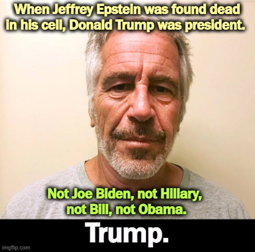 Trump was Epstein's 15-year business partner. Any Democrats were just passing through. | When Jeffrey Epstein was found dead in his cell, Donald Trump was president. Not Joe Biden, not Hillary, 
not Bill, not Obama. Trump. | image tagged in jeffrey epstein,suicide,trump,joe biden,hillary,obama | made w/ Imgflip meme maker