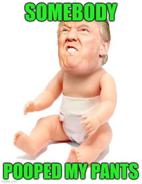 SOMEBODY; POOPED MY PANTS | made w/ Imgflip meme maker