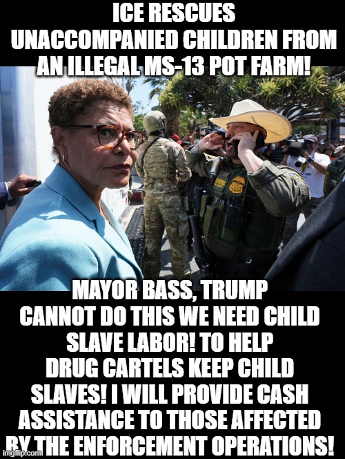 This isn't a Babylon Bee headline? It is the truth! | ICE RESCUES UNACCOMPANIED CHILDREN FROM AN ILLEGAL MS-13 POT FARM! MAYOR BASS, TRUMP CANNOT DO THIS WE NEED CHILD SLAVE LABOR! TO HELP DRUG CARTELS KEEP CHILD SLAVES! I WILL PROVIDE CASH ASSISTANCE TO THOSE AFFECTED BY THE ENFORCEMENT OPERATIONS! | image tagged in sam elliott special kind of stupid | made w/ Imgflip meme maker