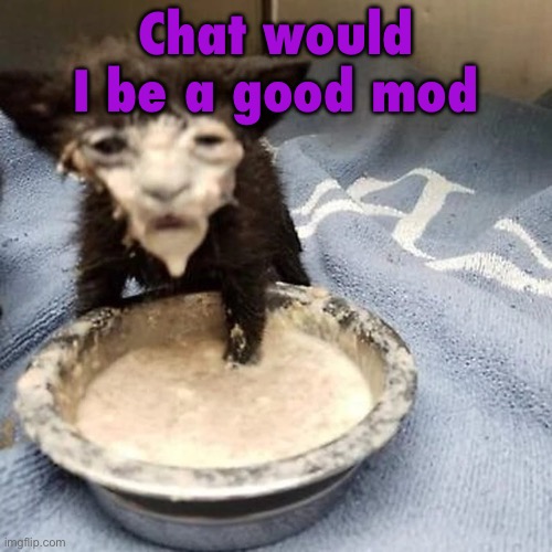 Pie :3 | Chat would I be a good mod | image tagged in pie 3 | made w/ Imgflip meme maker