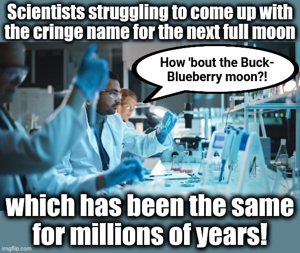 Scientists struggling to come up with
the cringe name for the next full moon; How 'bout the Buck-
Blueberry moon?! which has been the same
for millions of years! | image tagged in memes,full,moon,name,scientists | made w/ Imgflip meme maker
