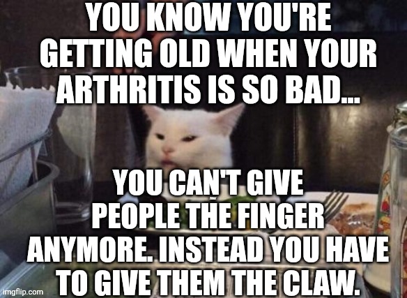 Smudge that darn cat | YOU KNOW YOU'RE GETTING OLD WHEN YOUR ARTHRITIS IS SO BAD... YOU CAN'T GIVE PEOPLE THE FINGER ANYMORE. INSTEAD YOU HAVE TO GIVE THEM THE CLAW. | image tagged in smudge that darn cat | made w/ Imgflip meme maker