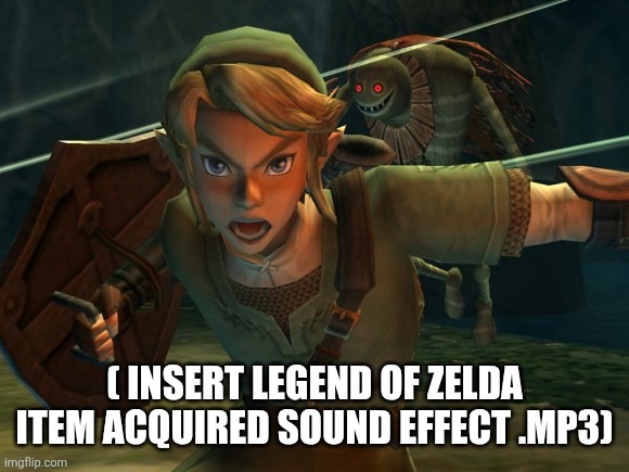 Link Legend of Zelda Yelling | ( INSERT LEGEND OF ZELDA ITEM ACQUIRED SOUND EFFECT .MP3) | image tagged in link legend of zelda yelling | made w/ Imgflip meme maker