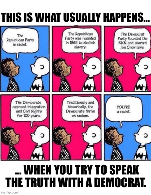 Good grief! | THIS IS WHAT USUALLY HAPPENS… | image tagged in political meme,peanuts,democrats,racism,unreasonable | made w/ Imgflip meme maker