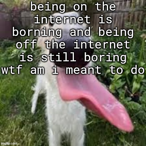 dog | being on the internet is borning and being off the internet is still boring wtf am i meant to do | image tagged in dog | made w/ Imgflip meme maker
