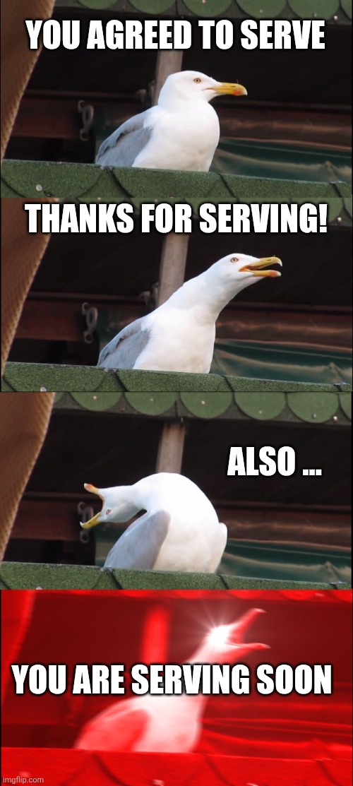 Inhaling Seagull Meme | YOU AGREED TO SERVE; THANKS FOR SERVING! ALSO ... YOU ARE SERVING SOON | image tagged in memes,inhaling seagull | made w/ Imgflip meme maker