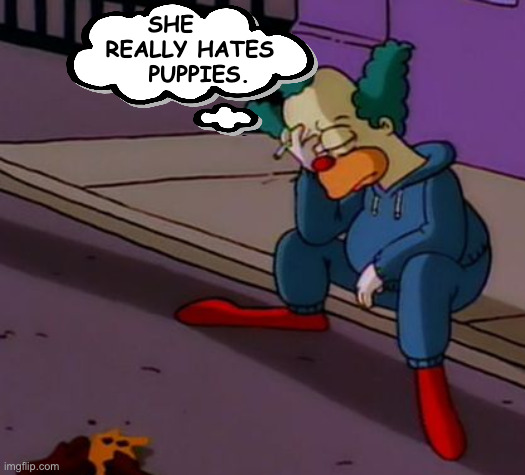 SHE   
 REALLY HATES
   PUPPIES. | made w/ Imgflip meme maker