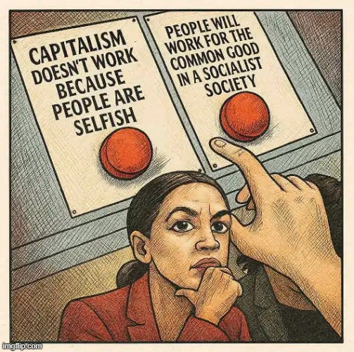 Confusion Delusion | image tagged in aoc,dumb,capitalism,socialism,democratic socialism,one does not simply | made w/ Imgflip meme maker