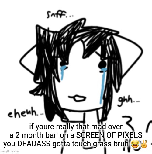 eheuh... snff.. ghh... | if youre really that mad over a 2 month ban on a SCREEN OF PIXELS you DEADASS gotta touch grass bruh 😂✌️ | image tagged in eheuh snff ghh | made w/ Imgflip meme maker
