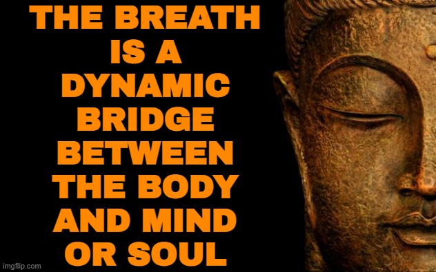 The Breath Is A Dynamic Bridge Between The Body And Mind Or Soul | THE BREATH
IS A
DYNAMIC
BRIDGE
BETWEEN
THE BODY
AND MIND
OR SOUL | image tagged in buddha - quotes,yoga,religion,anti-religion,atheism,buddhism | made w/ Imgflip meme maker