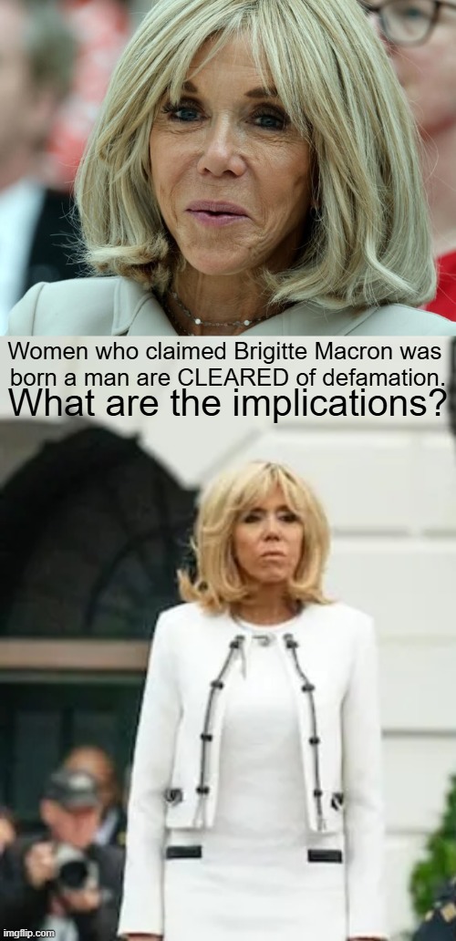 Is it a bird? Is it a plane? Only the shadow knows... | Women who claimed Brigitte Macron was 
born a man are CLEARED of defamation. What are the implications? | image tagged in emmanuel macron,wife,successful black man,woman,or man | made w/ Imgflip meme maker