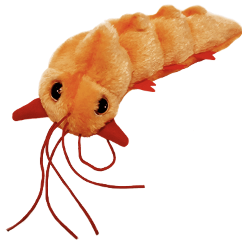 High Quality neurax worm Blank Meme Template