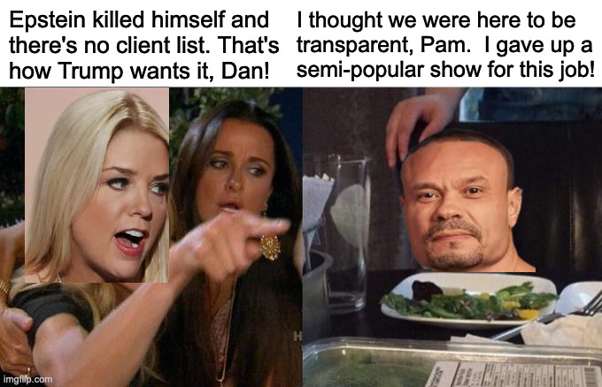 Comedy teams that don't work out. | Epstein killed himself and
there's no client list. That's
how Trump wants it, Dan! I thought we were here to be
transparent, Pam.  I gave up a
semi-popular show for this job! | image tagged in memes,woman yelling at cat,pam bondi,dan bongino | made w/ Imgflip meme maker