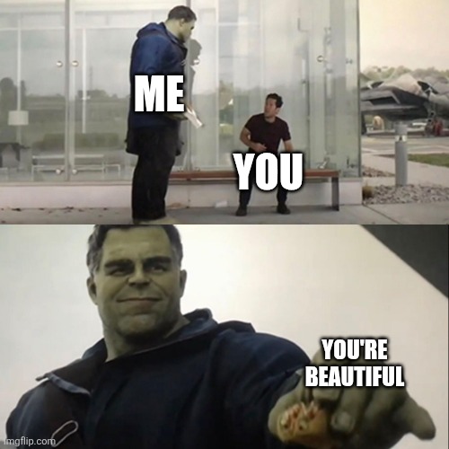 Hulk Taco | ME; YOU; YOU'RE BEAUTIFUL | image tagged in hulk taco | made w/ Imgflip meme maker