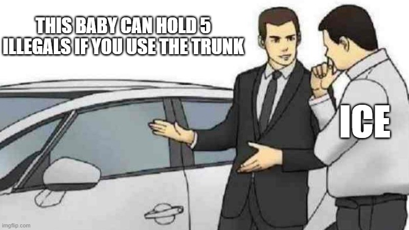 Car Salesman Slaps Roof Of Car | THIS BABY CAN HOLD 5 ILLEGALS IF YOU USE THE TRUNK; ICE | image tagged in memes,car salesman slaps roof of car | made w/ Imgflip meme maker