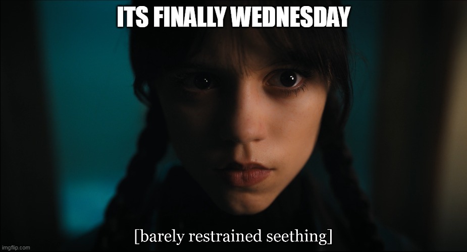 Its finally Wednesday | ITS FINALLY WEDNESDAY | image tagged in wednesday,funny,wednesday addams,jenny ortega,work week | made w/ Imgflip meme maker