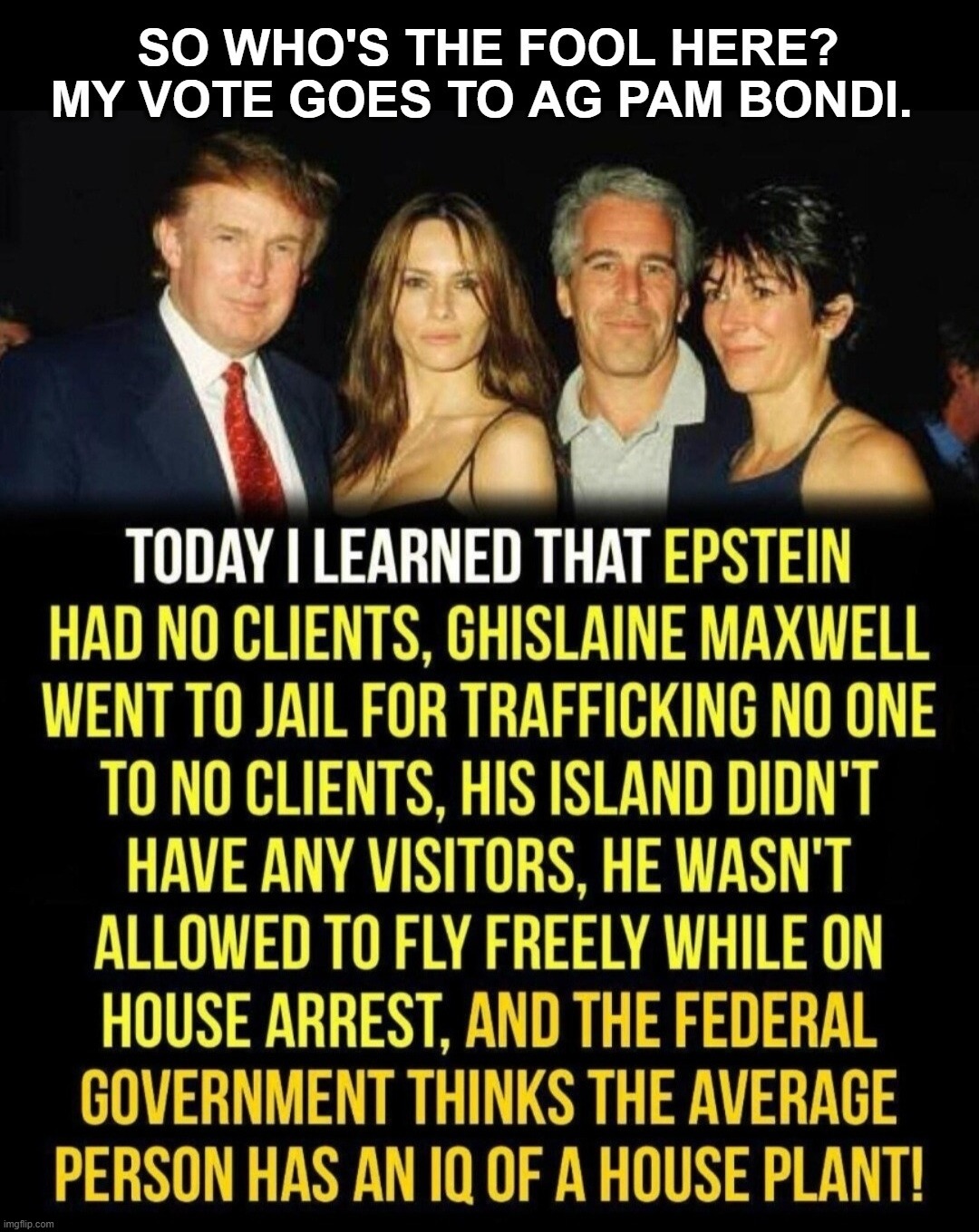 So who's the fool here? My vote goes to Attorney General Pam Bondi. | image tagged in nobody's fool,ship of fools,pam bondi,jeffrey epstein,epstein island,pedophile island | made w/ Imgflip meme maker