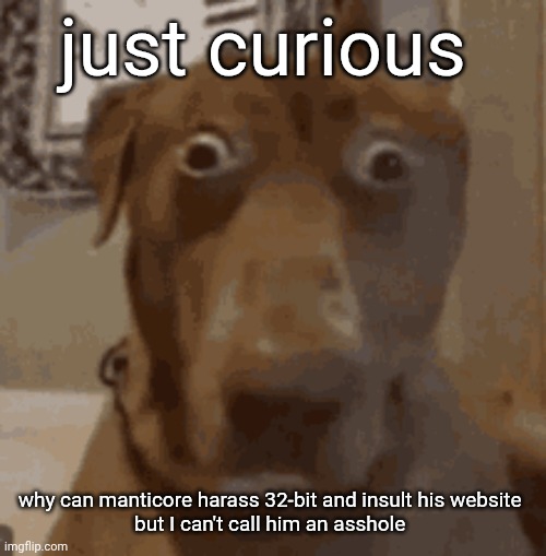 we live in a society | just curious; why can manticore harass 32-bit and insult his website 
but I can't call him an asshole | image tagged in wtf | made w/ Imgflip meme maker