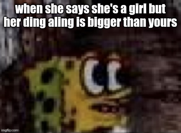 spunch bop trauma | when she says she's a girl but her ding aling is bigger than yours | image tagged in spunch bop trauma | made w/ Imgflip meme maker