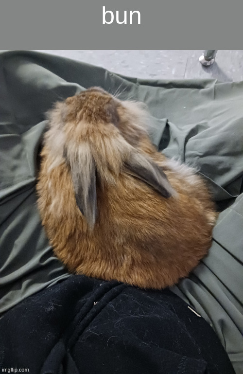 bun | made w/ Imgflip meme maker