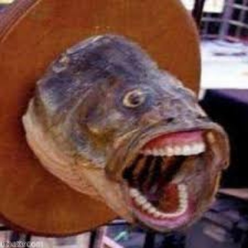 image tagged in pogfish | made w/ Imgflip meme maker