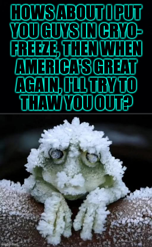 You'll be contributing to scientific research. | HOWS ABOUT I PUT
YOU GUYS IN CRYO-
FREEZE, THEN WHEN
AMERICA'S GREAT
AGAIN, I'LL TRY TO
THAW YOU OUT? | image tagged in memes,maga,mr freeze,science | made w/ Imgflip meme maker