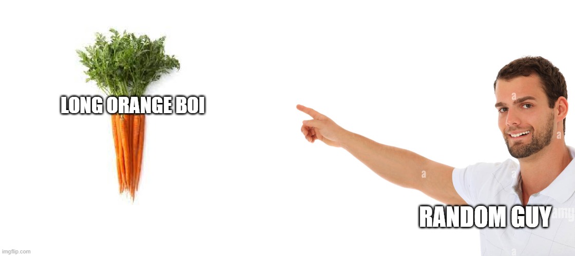 idk | LONG ORANGE BOI; RANDOM GUY | image tagged in pointing at karot | made w/ Imgflip meme maker